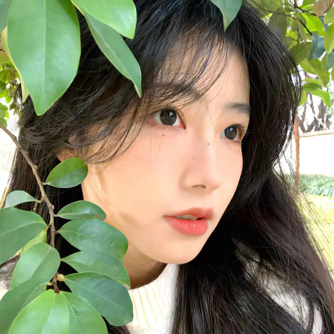 联邦调查局第一季