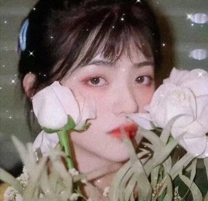 十七岁2019